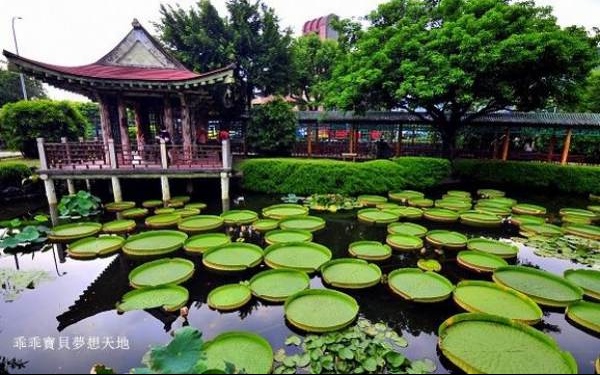 台北景點「雙溪公園」Blog遊記的精采圖片