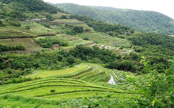 台北景點「嵩山社區」Blog遊記的精采圖片