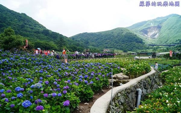 台北景點「竹子湖」Blog遊記的精采圖片
