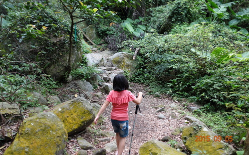 「青山瀑布登山步道」Blog遊記的精采圖片
