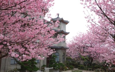 「東方寺」Blog遊記的精采圖片