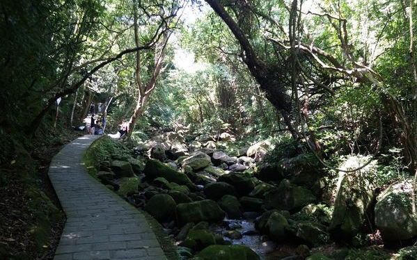 「大溝溪自然步道」Blog遊記的精采圖片