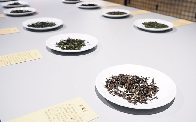 「坪林茶業博物館」Blog遊記的精采圖片