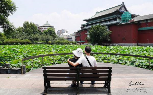 「台北植物園」Blog遊記的精采圖片