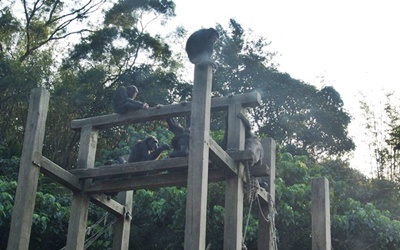 「台北市立木柵動物園」Blog遊記的精采圖片